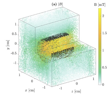 Image of 3D reconstruction of the distribution of strength and direction of the magnetic field in a solenoid